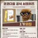 코코멍