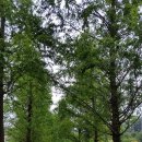 남부코스 이미지