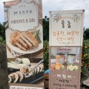 제주도 [곱은달 감귤 체험농장 ] 감귤 따기, 감귤청 만들기 체험 해봄! 겨울엔 귤이지