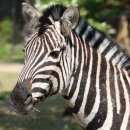 종로필운점 현대자동차 이미지