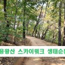 9월3일(목) 용왕산 스카이워크 생태순환길 이미지
