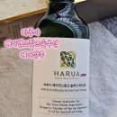 헤어솔루션 | 탈모예방 샴푸 추천 – 두피부터 달라지는 하루아 헤어앤스칼프솔루션 샴푸 사용 후기