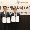 제일피드 이미지