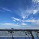 씨사이드 이미지