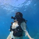 스쿠버월드 | [푸켓] 라차섬 투어: 스쿠버다이빙, 스노클링, 바나나 비치