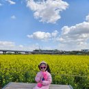 나주종합스포츠파크 건너편 이미지