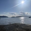 스테이매자미 이미지