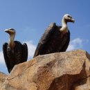 대공원치안센터 이미지