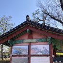 촉석탕
