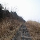 이광행농장 | 영산기맥 제7구간 함평농공단지에서 도산삼거리까지 산행후기