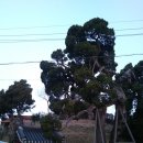 후정3리정류장 이미지