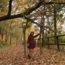 대덕연구단지체육공원 이미지