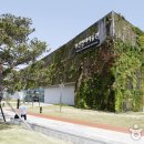 하단동1233 이미지