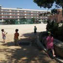 양목초교 이미지