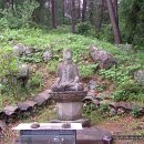 반야사불상 이미지