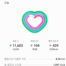 정홍모 | 4월25일 만보걷기/ 화중지왕(花中之王)이라 불린 꽃 모란(牡丹)