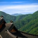 반달곰 가족 이미지