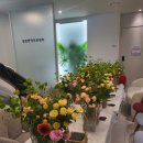 힐링 플라워테라피 이미지