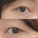 GRIDA | 브로우그리다 망원속눈썹펌｜노글루 인생 컬 대만족후기!!