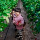 봄이네 농장 이미지