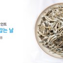 고래잡는날