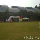 목련@사랑 이미지