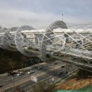 하늘누에 이미지