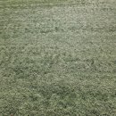 을숙도 인조잔디 축구장 이미지