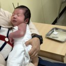 속초시보건소 | 속초보건소 BCG 접종 후기 경피용·피내용 차이·가격 완전 정리! 신생아 4주 이내 필독