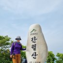 영 농장 Daum카페