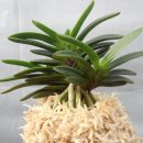 11월 16일 로또 이벤트 .....왕창 몰아드립니다... 이미지