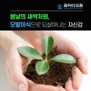 서울새싹병원 | [봄날의 새싹처럼] 모발이식수술, 상담과 관리도 중요
