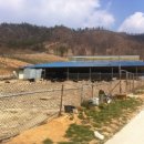 흑석산흑염소농장 이미지