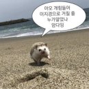 끌리네헤어 - 동구 | W5. 본식 DVD 계약(mj 컨벤션 가성비 본식DVD 추천/르랑필름/어두운홀/추천인코드(짝꿍코드)공유)