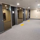 마이애미정선 이미지