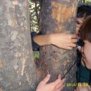 다원지역아동센터 이미지