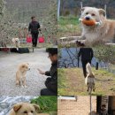 종생농장 이미지