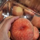 은혜농장 | 복숭아 3kg 은혜로운팜 경봉 복숭아, 산지직송으로 만난 여름 제철과일 후기