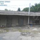완산-99 이미지