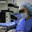 스마일플러스