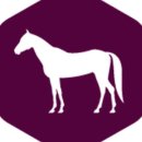 엑셀로이콰인알앤디쎈터 이미지