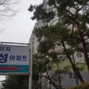 서현1동.우성아파트 이미지