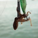 보금자리 (펜션) 이미지