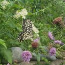 희망곤충농장 이미지