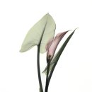 아름다운시선 이미지