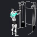 지투피트니스 이미지