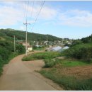 옥계시장 이미지