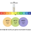 시투안문화위너스