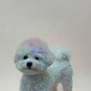 킹스키즈 개린이집 이미지