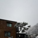 갈기산 포레스트 힐 네이버블로그